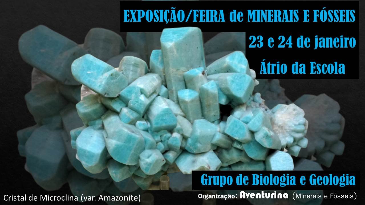 Exposição Feira de Minerais e Fósseis 2
