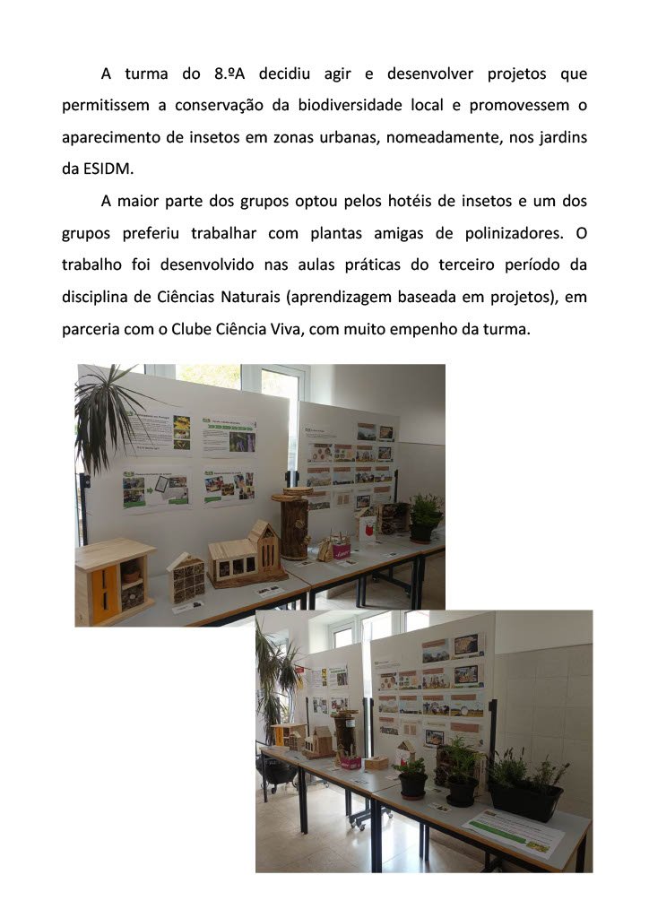 Exposição Polinizadores2