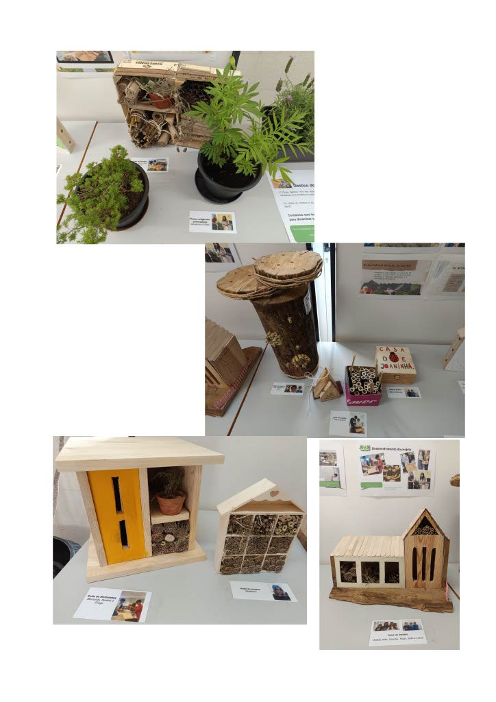 Exposição Polinizadores3